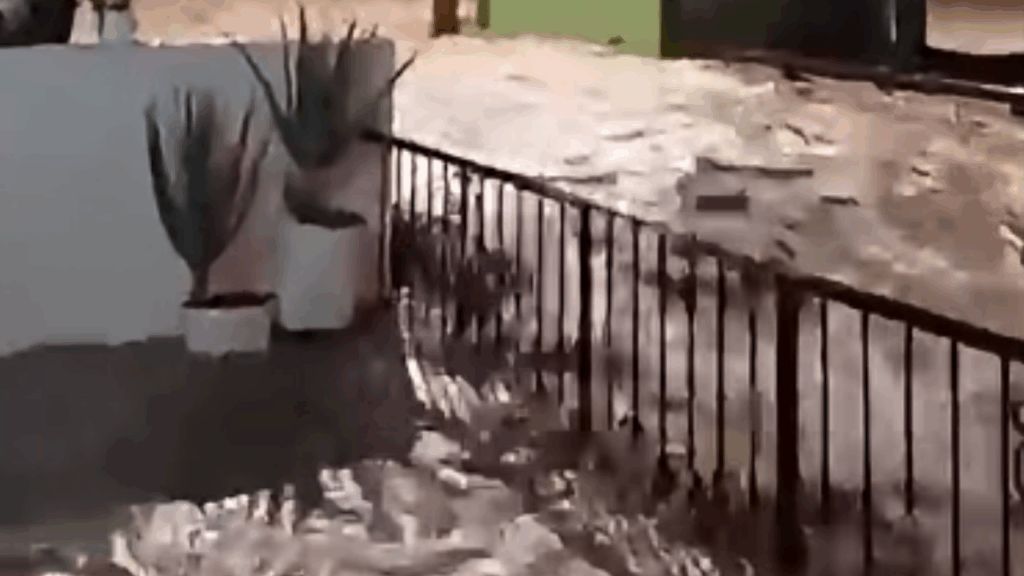 Lluvias y vendavales dejan más de 80 viviendas afectadas y vías bloqueadas en municipios del Magdalena Medio antioqueño Lluvias y vendavales dejan más de 80 viviendas afectadas y vías bloqueadas en municipios del Magdalena Medio antioqueño