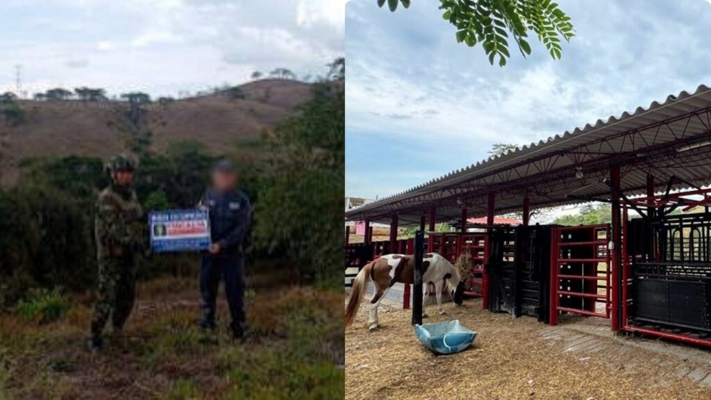 Ocupan 42 bienes vinculados a presuntos testaferros de ‘Pacho Herrera’, entre ellos un terreno en Sonsón Ocupan 42 bienes vinculados a presuntos testaferros de ‘Pacho Herrera’, entre ellos un terreno en Sonsón