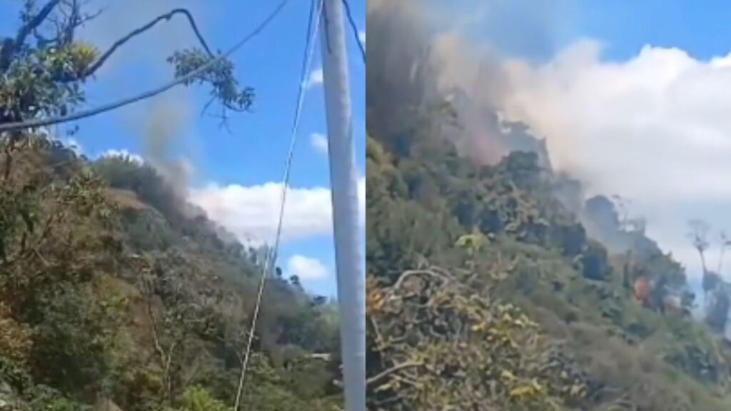 Reportan que incendio forestal en zona rural de La Ceja afectó dos veredas Reportan que incendio forestal en zona rural de La Ceja afectó dos veredas