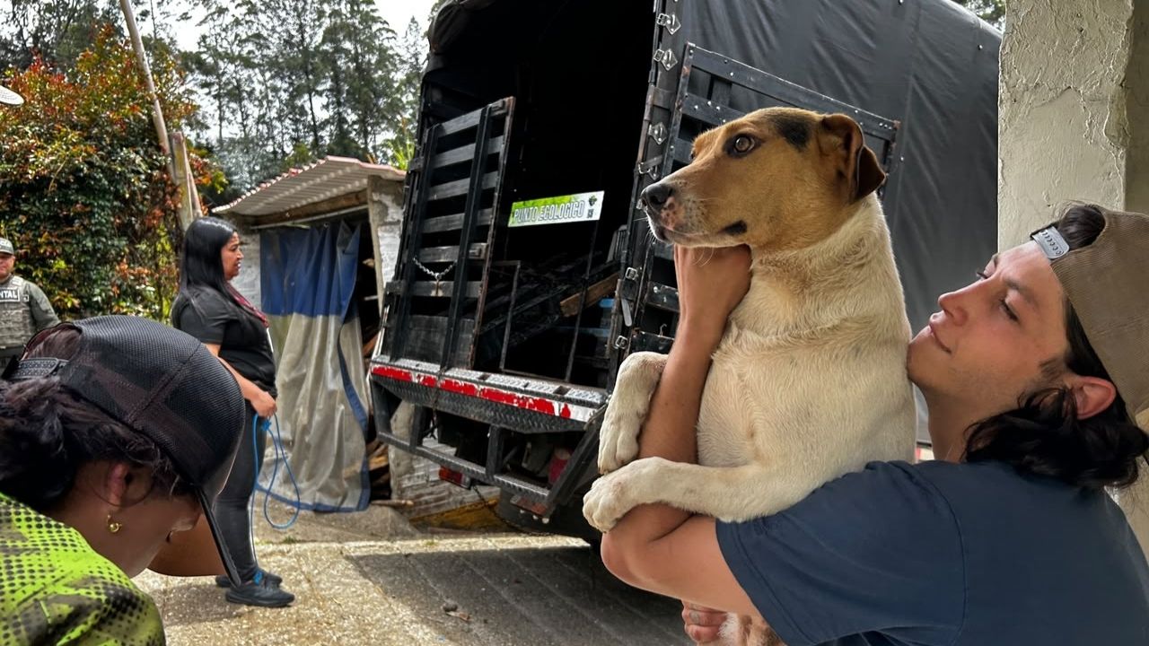Guarne inaugura su Centro de Bienestar Animal y abre convocatoria para adopción responsable
