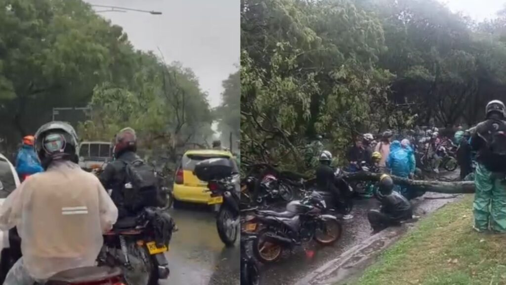 Reportan caída de árboles y varias afectaciones por las fuertes lluvias de este jueves en Medellín Reportan caída de árboles y varias afectaciones por las fuertes lluvias de este jueves en Medellín