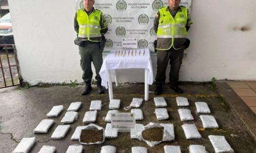 Iban camuflados entre mercancía común: incautan 16 kilos de marihuana